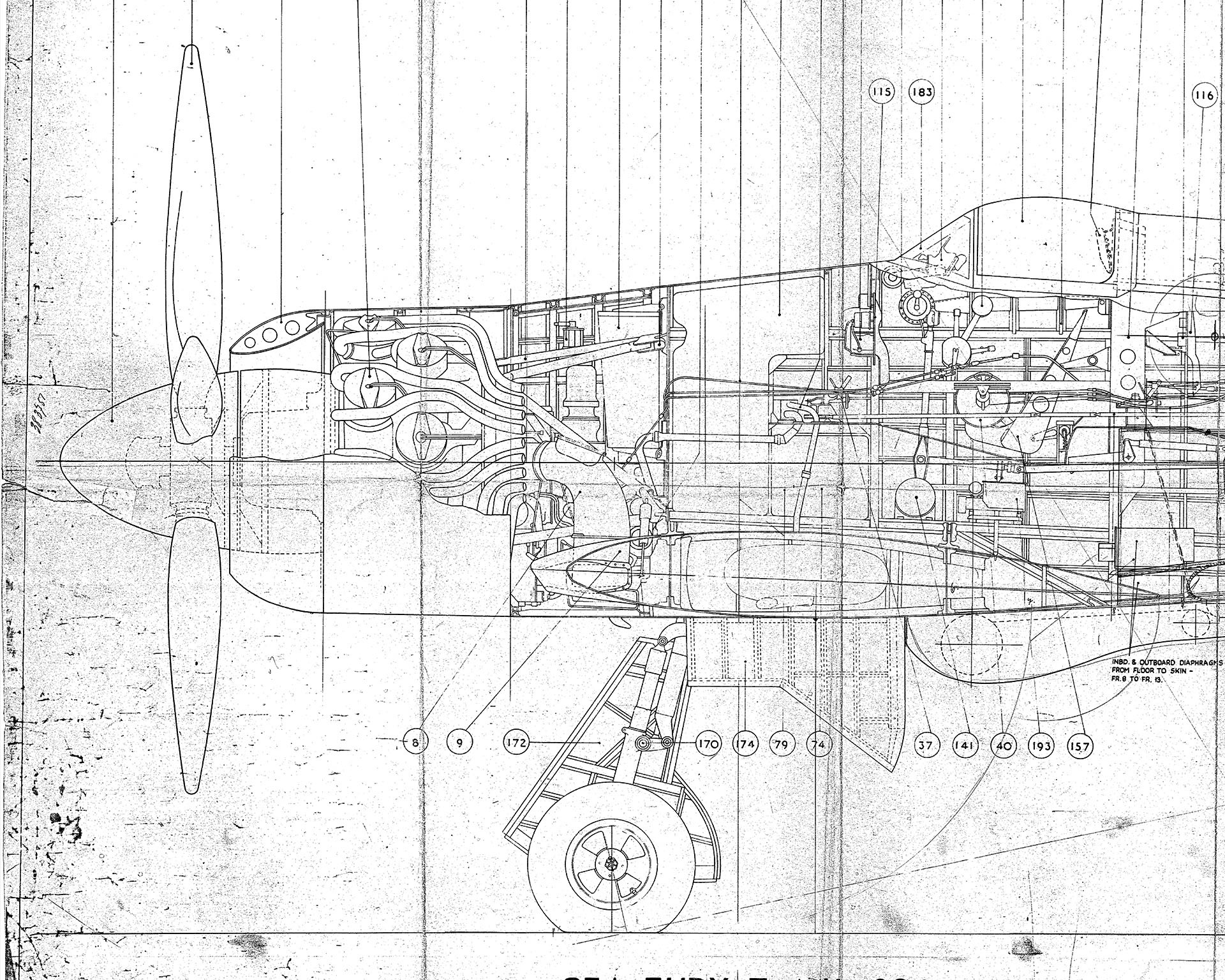 SeaFuryDrawing